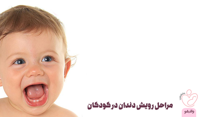 مراحل رویش دندان در کودکان