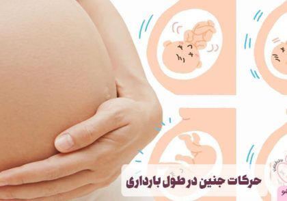 حرکات جنین در طول بارداری