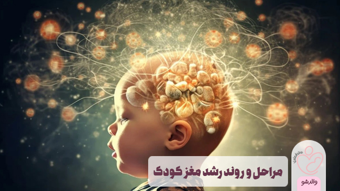 رشد مغز کودک