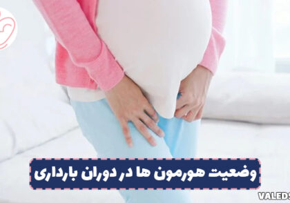 هورمون ها در دوران بارداری